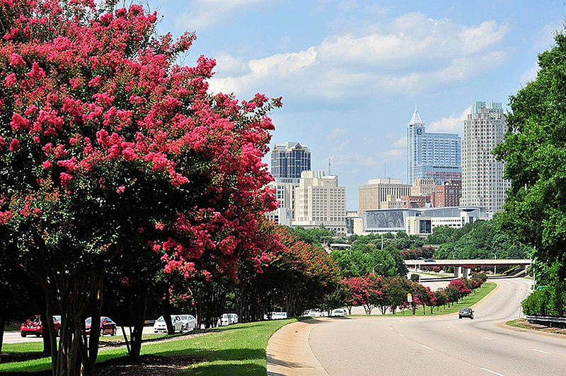 Raleigh skyline showcasing urban development