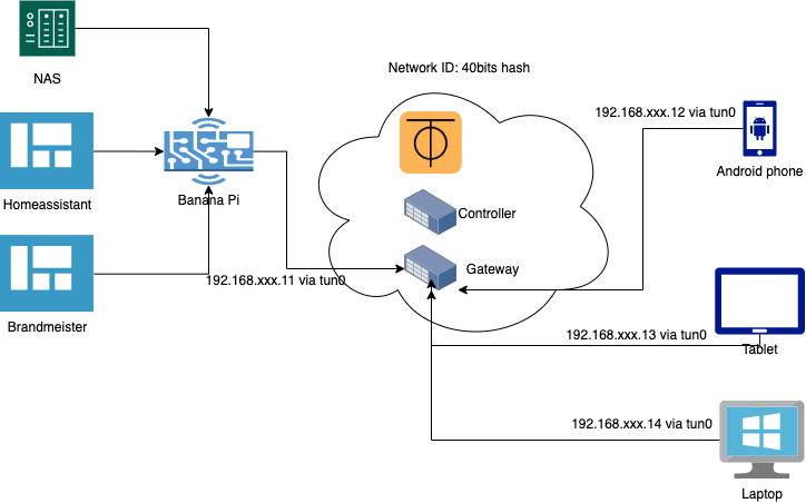 Overview of ZeroTier setup