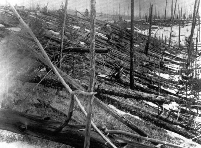 Forest area affected by the Tunguska explosion