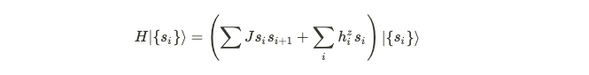 Spin configuration eigenstates