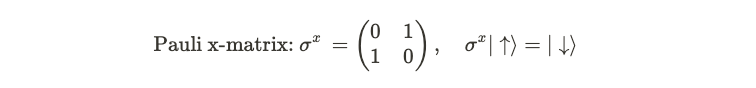 Exponential arrangement of spin operators