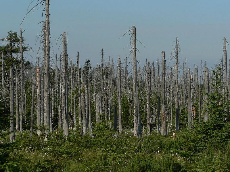 Damage caused by acid rain in Europe