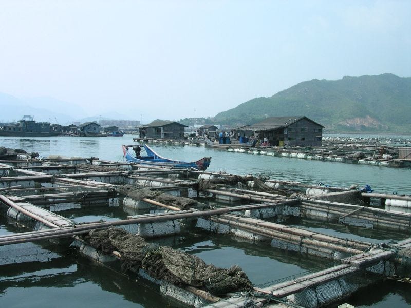 Marine aquaculture operations in China