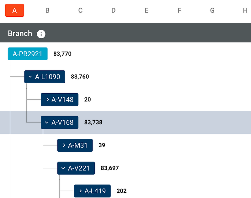 Phylogenetic tree from Family Tree DNA Haplogroup A