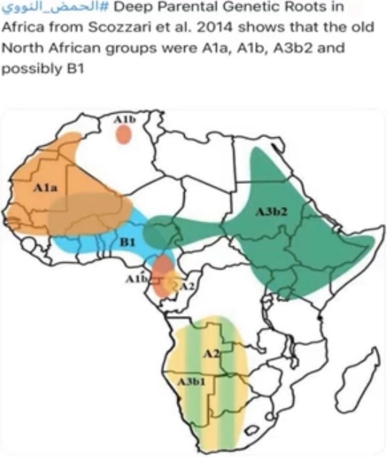 Genetic map of ancient Africa