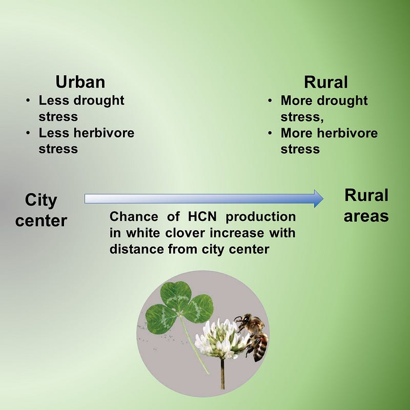 Genetic adaptations in plants due to urban stress