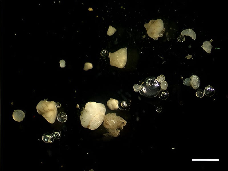 Microplastic particles in various environments