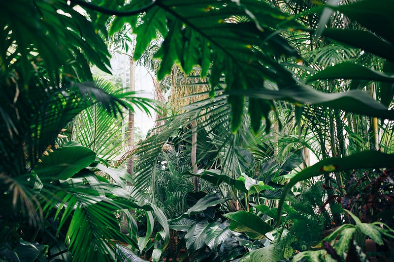 A plant reacting to stress