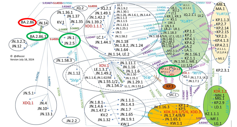 Chart illustrating Omicron subvariants and their connections