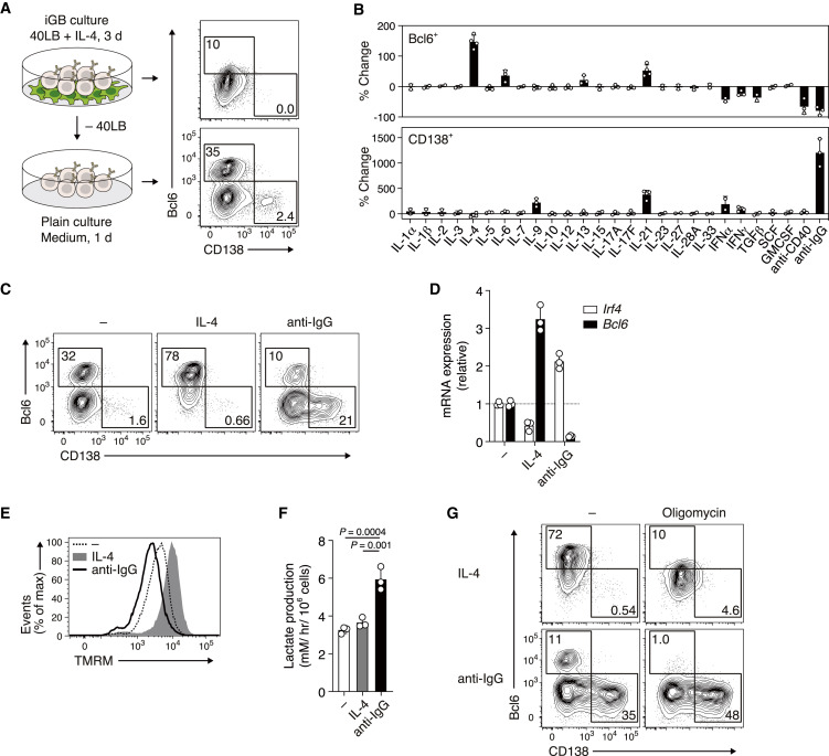 Immunology Research in Action