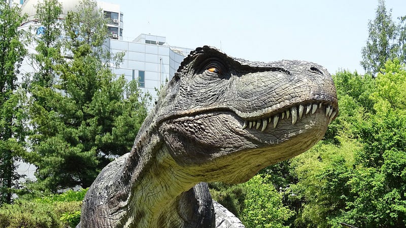 Tyrannosaurus skull fossil