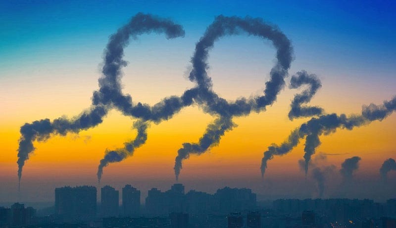 The significance of carbon dioxide in respiration