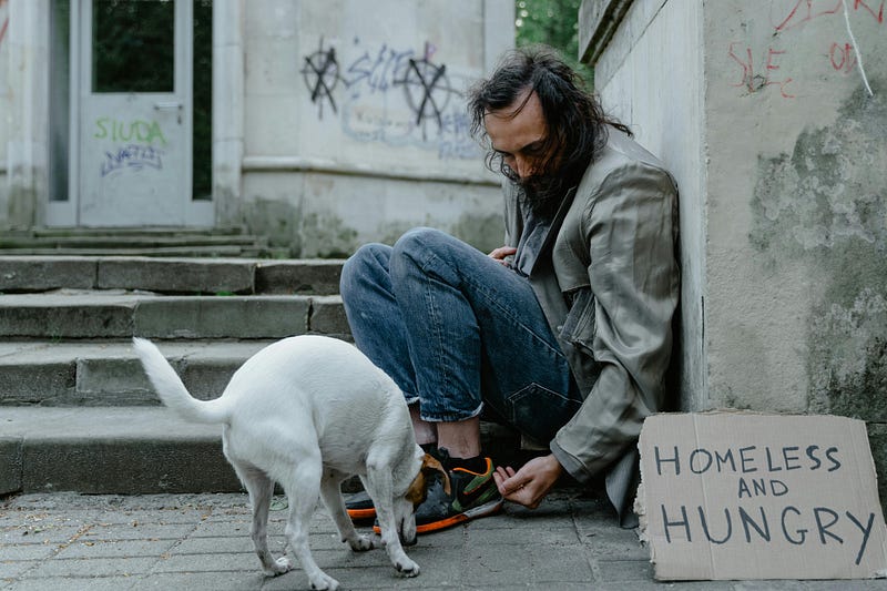 Compassion towards the homeless and their pets