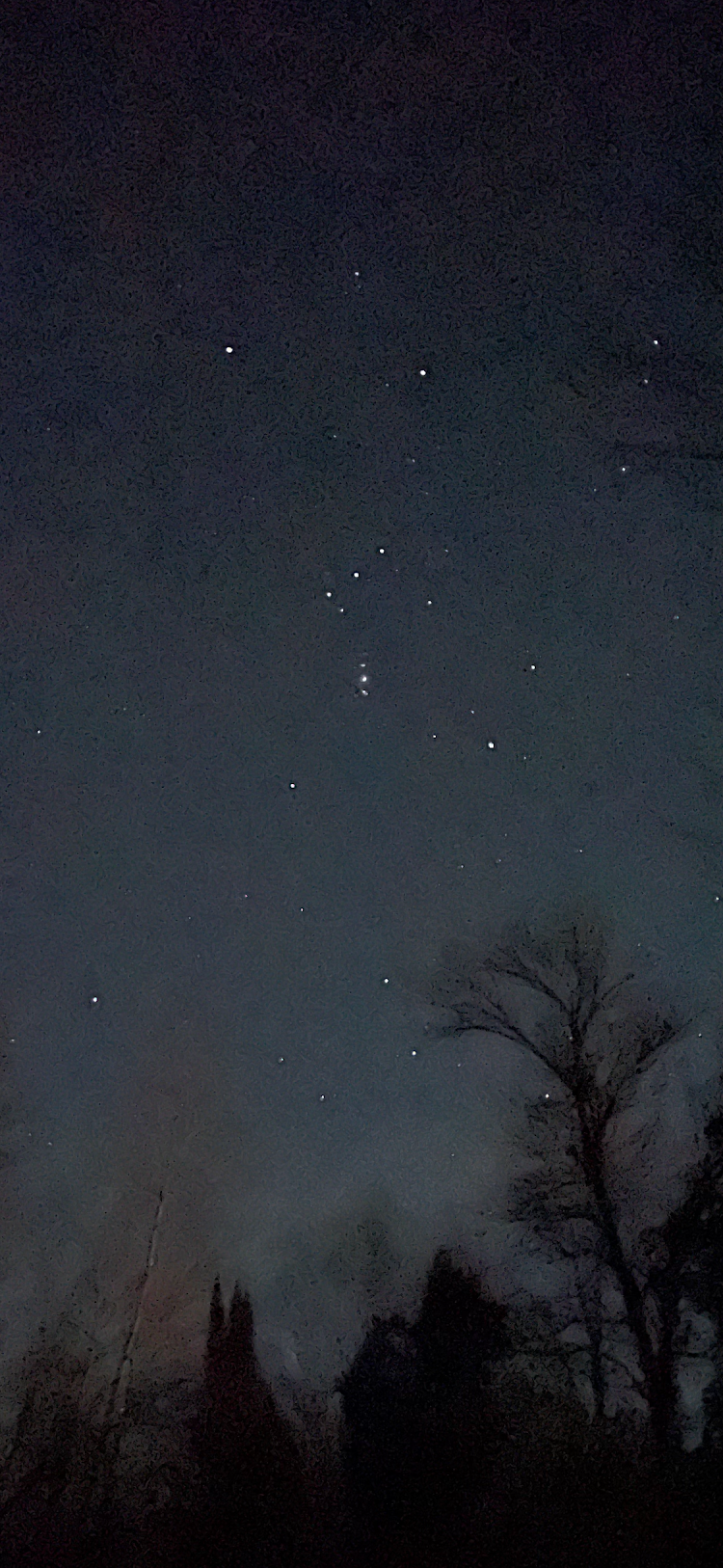 The constellation Orion shining brightly in our night sky.