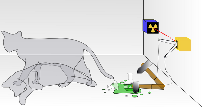 Schrödinger's Cat Thought Experiment Illustration