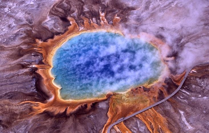 Image of T. aquaticus thriving in Yellowstone hot springs