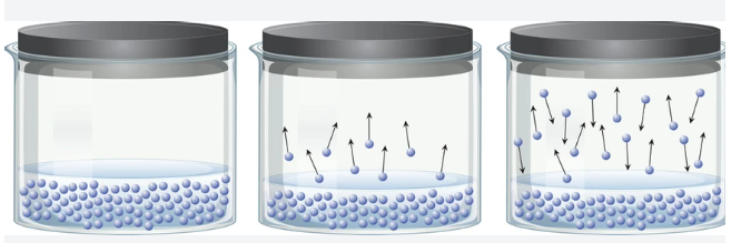 Diagram illustrating phase equilibrium