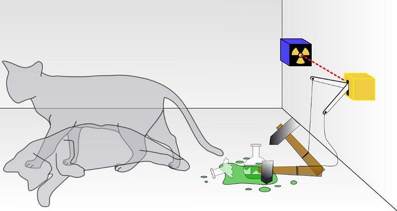 Schrodinger's cat and the concept of superposition