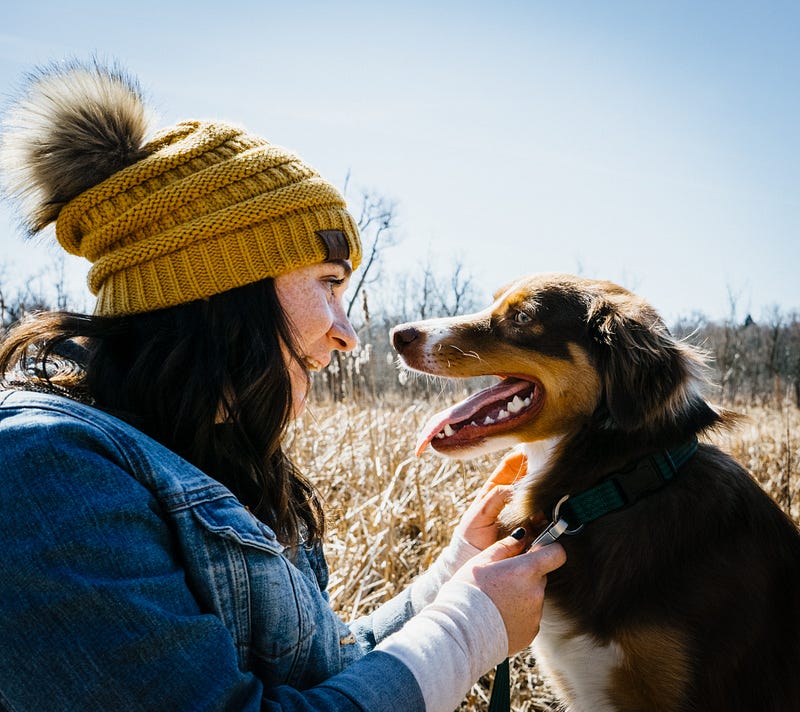 Engaging with dogs through conversation